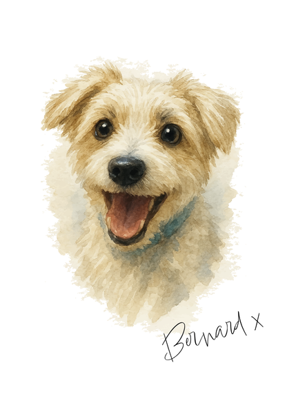 Custom Watercolour Pet Portrait - Personalised Pet Gift
