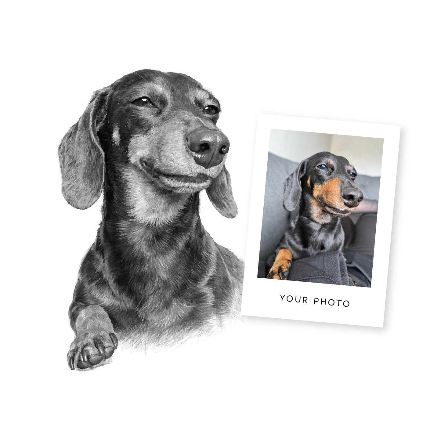 Custom Pencil-Style Pet Portrait - Personalised Pet Gift for Dog or Cat Lover