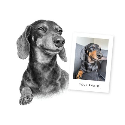 Custom Pencil-Style Pet Portrait - Personalised Pet Gift for Dog or Cat Lover