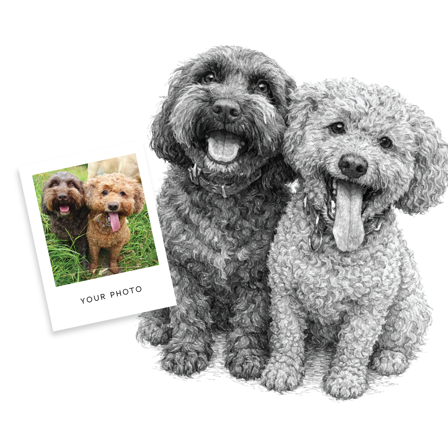 Custom Pencil-Style Pet Portrait - Personalised Pet Gift for Dog or Cat Lover