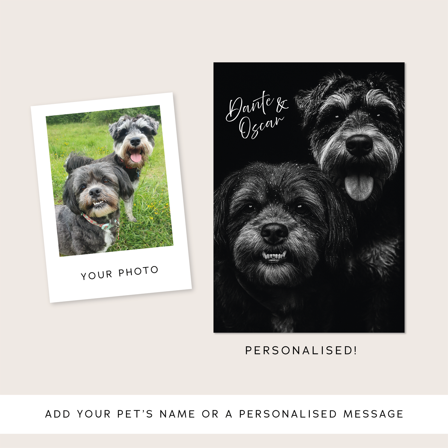 Custom Black & White Pet Portrait - Personalised Fine Art Gift