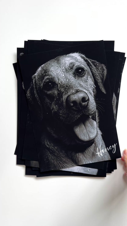 Custom Black & White Pet Portrait - Personalised Fine Art Gift